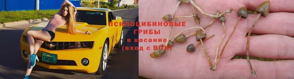 ALPHA-PVP Бородино