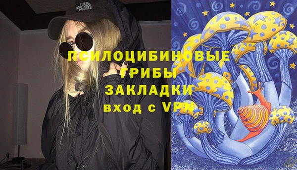 герыч Бронницы