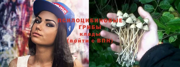 дживик Бугульма