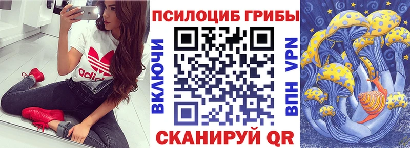ссылка на мегу зеркало  Нелидово  Галлюциногенные грибы Cubensis 